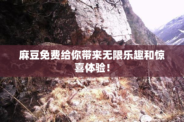 麻豆免费给你带来无限乐趣和惊喜体验！