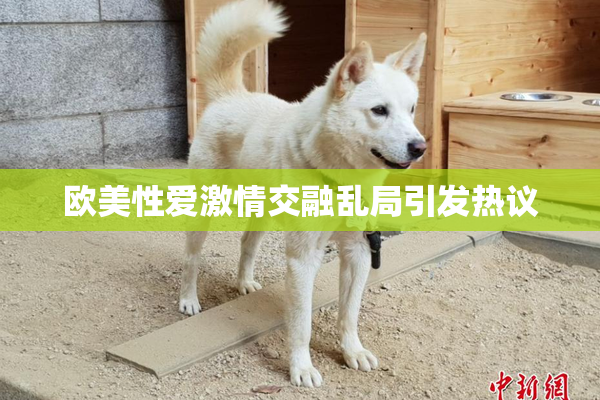 欧美性爱激情交融乱局引发热议