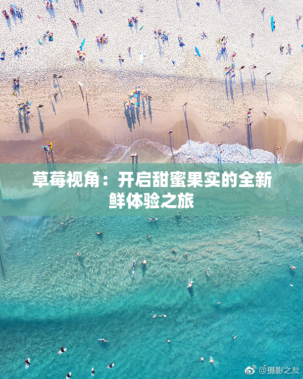草莓视角：开启甜蜜果实的全新鲜体验之旅