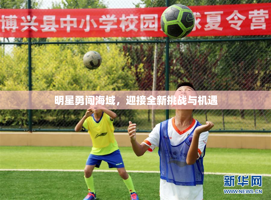 明星勇闯海域，迎接全新挑战与机遇