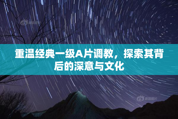 重温经典一级A片调教，探索其背后的深意与文化