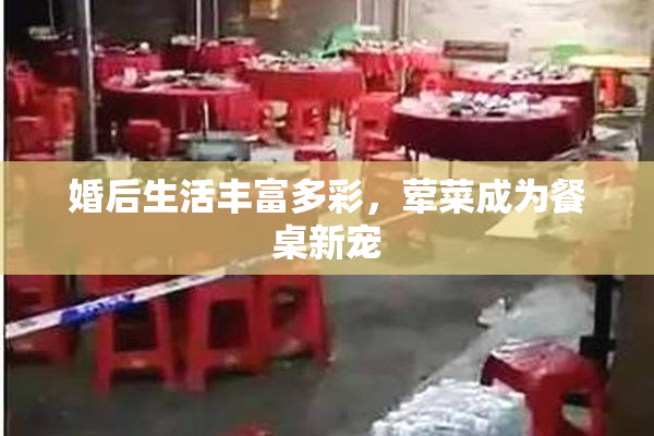 婚后生活丰富多彩，荤菜成为餐桌新宠