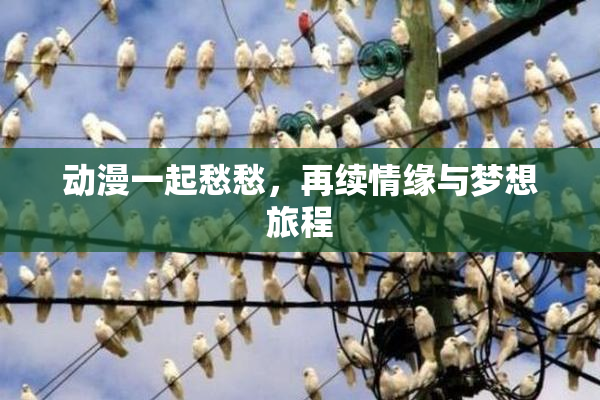 动漫一起愁愁，再续情缘与梦想旅程