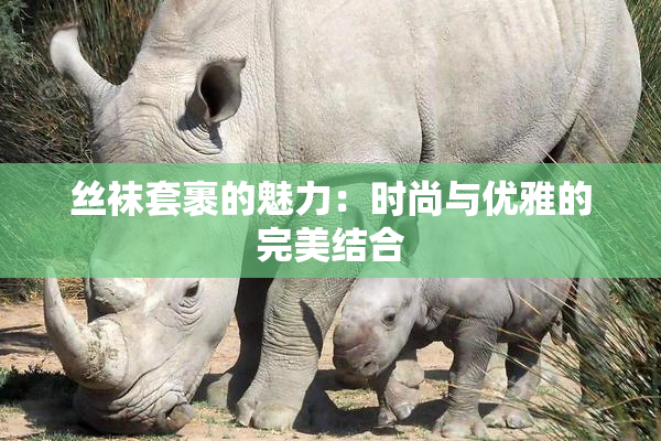 丝袜套裹的魅力：时尚与优雅的完美结合
