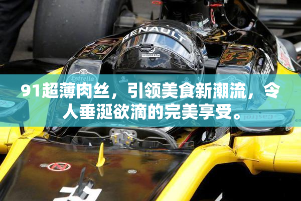 91超薄肉丝，引领美食新潮流，令人垂涎欲滴的完美享受。