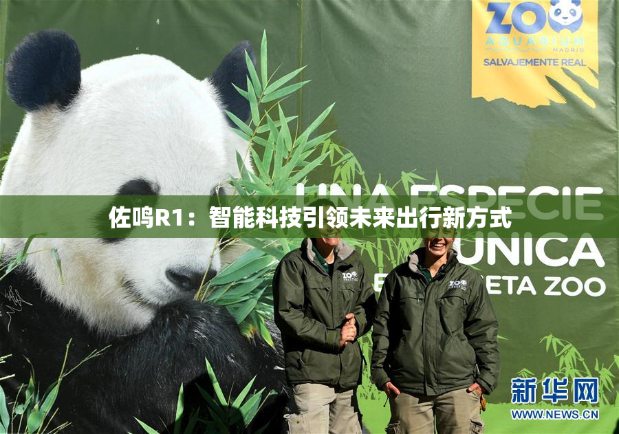 佐鸣R1：智能科技引领未来出行新方式