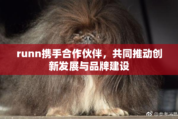 runn携手合作伙伴，共同推动创新发展与品牌建设