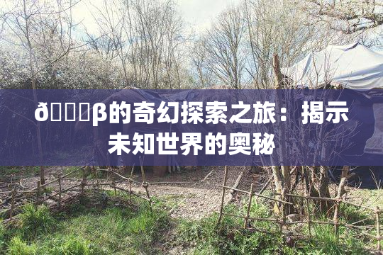👙β的奇幻探索之旅：揭示未知世界的奥秘