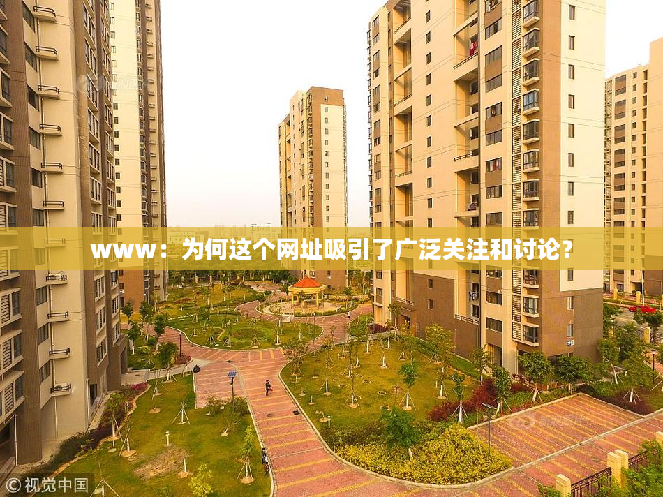 www：为何这个网址吸引了广泛关注和讨论？