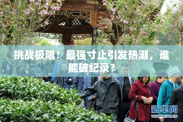挑战极限！最强寸止引发热潮，谁能破纪录？