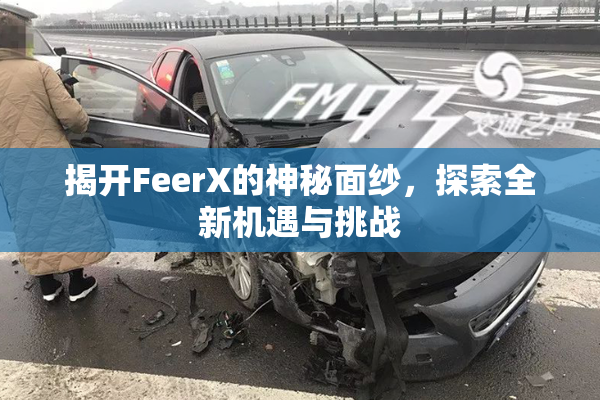 揭开FeerX的神秘面纱，探索全新机遇与挑战