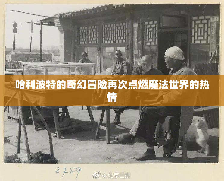 哈利波特的奇幻冒险再次点燃魔法世界的热情