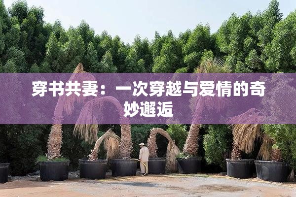 穿书共妻：一次穿越与爱情的奇妙邂逅