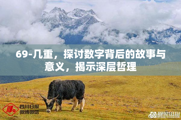 69-几重，探讨数字背后的故事与意义，揭示深层哲理