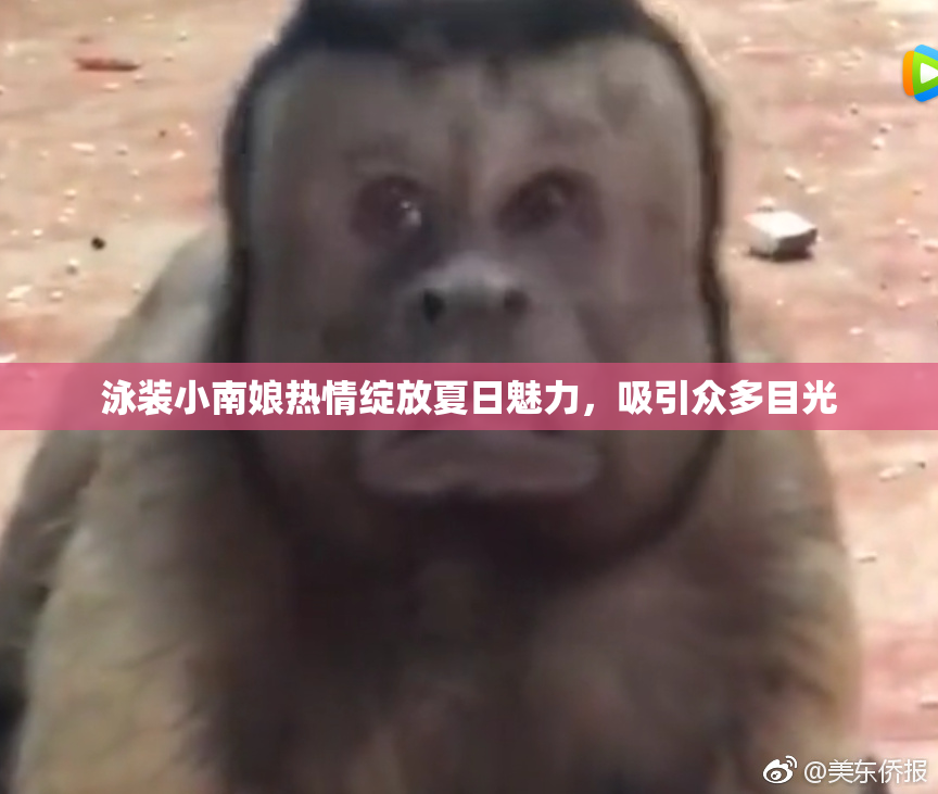 泳装小南娘热情绽放夏日魅力，吸引众多目光