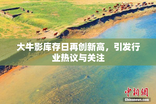 大牛影库存日再创新高，引发行业热议与关注