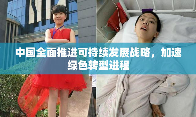 中国全面推进可持续发展战略，加速绿色转型进程