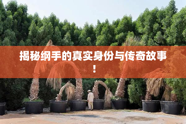 揭秘纲手的真实身份与传奇故事！
