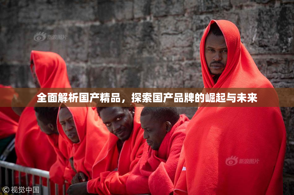全面解析国产精品，探索国产品牌的崛起与未来