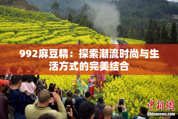 992麻豆精：探索潮流时尚与生活方式的完美结合