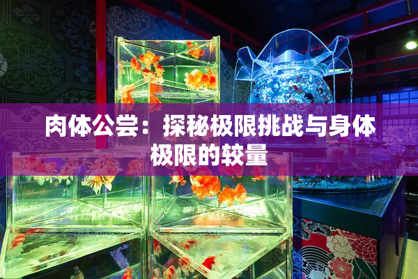肉体公尝：探秘极限挑战与身体极限的较量