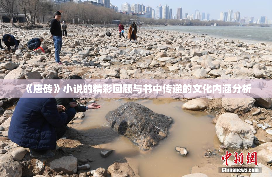 《唐砖》小说的精彩回顾与书中传递的文化内涵分析