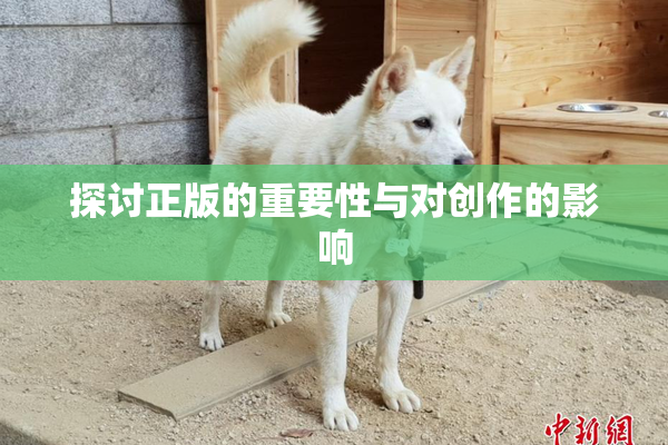 探讨正版的重要性与对创作的影响