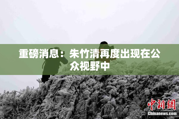 重磅消息：朱竹清再度出现在公众视野中