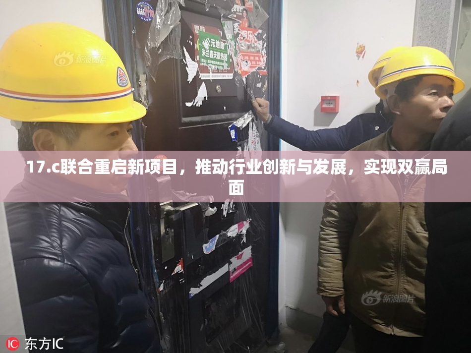 17.c联合重启新项目，推动行业创新与发展，实现双赢局面