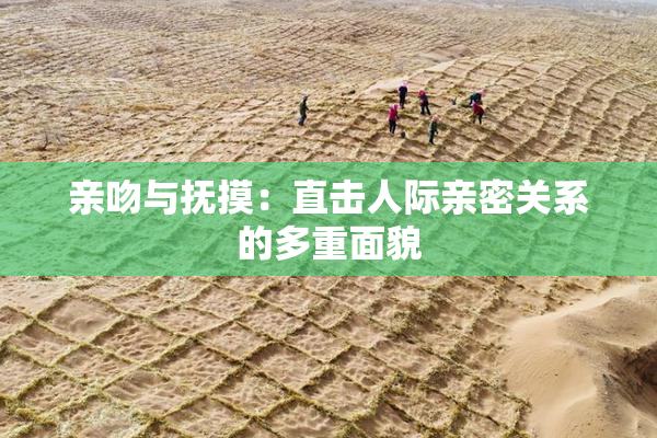 亲吻与抚摸：直击人际亲密关系的多重面貌