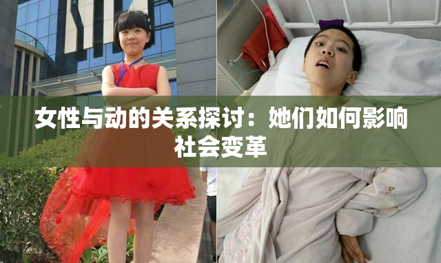 女性与动的关系探讨：她们如何影响社会变革