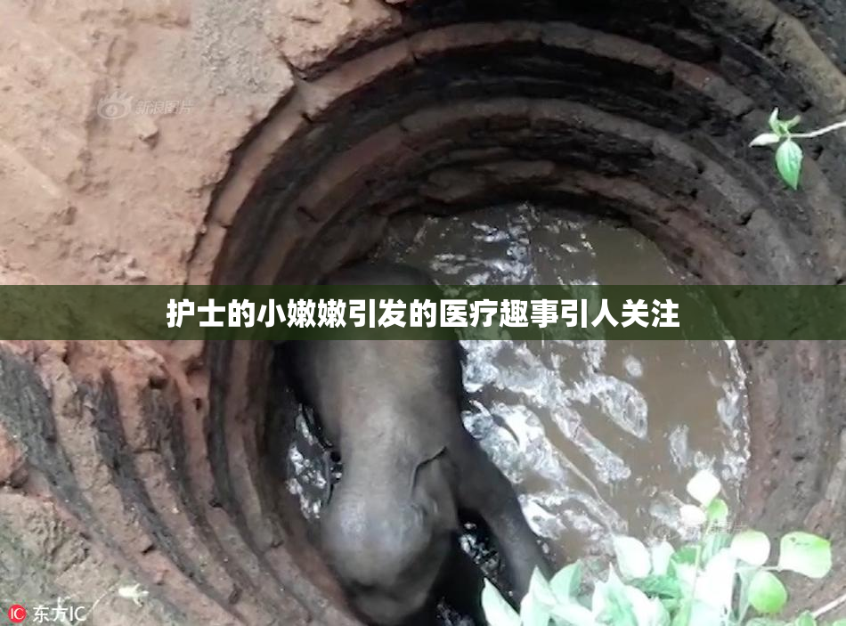护士的小嫩嫩引发的医疗趣事引人关注