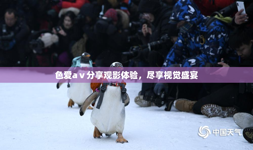 色爱aⅴ分享观影体验，尽享视觉盛宴