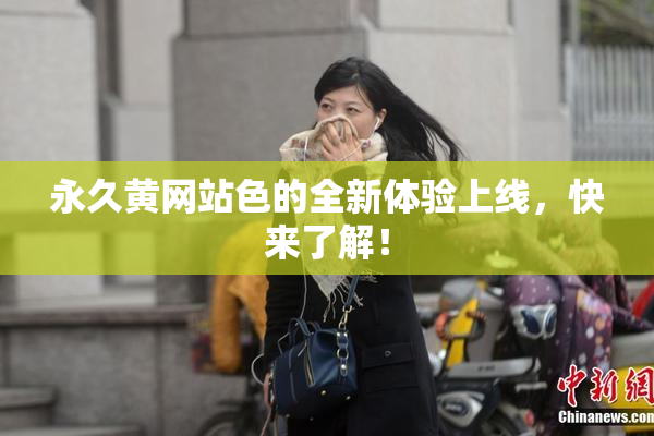 永久黄网站色的全新体验上线，快来了解！