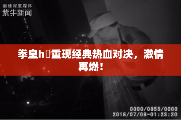 拳皇h婬重现经典热血对决，激情再燃！
