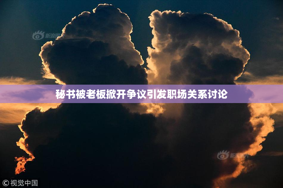 秘书被老板掀开争议引发职场关系讨论