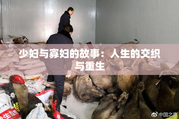 少妇与寡妇的故事：人生的交织与重生
