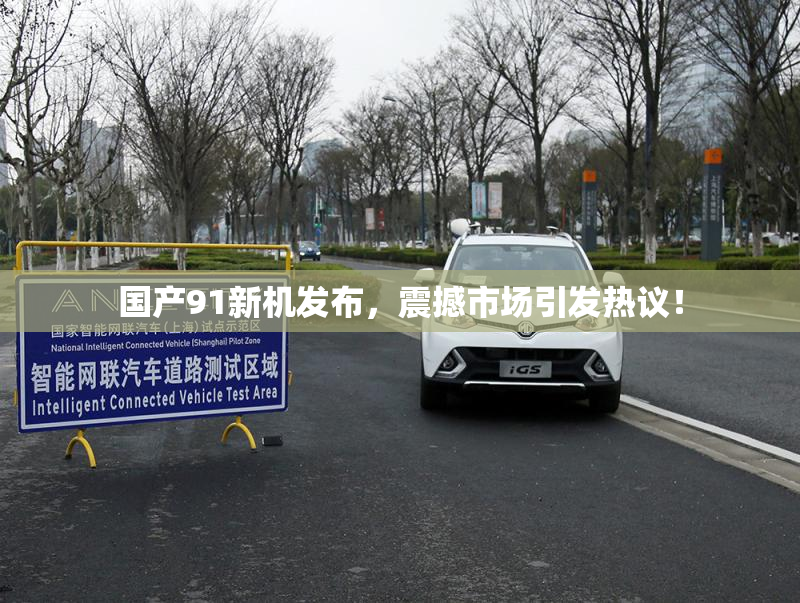 国产91新机发布，震撼市场引发热议！