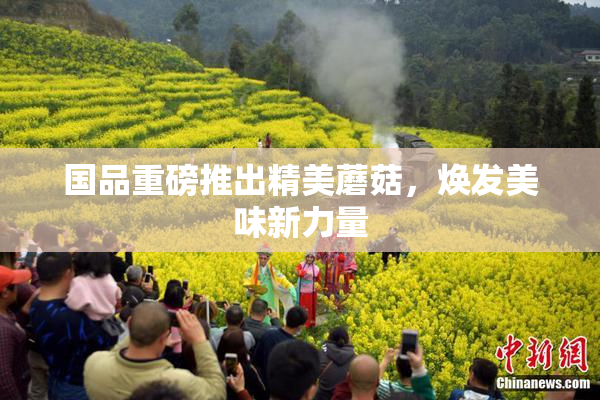 国品重磅推出精美蘑菇，焕发美味新力量