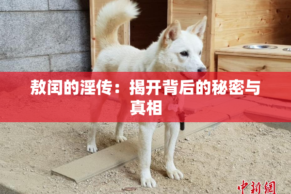 敖闰的淫传：揭开背后的秘密与真相