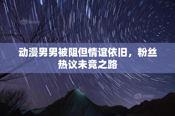 动漫男男被阻但情谊依旧，粉丝热议未竟之路