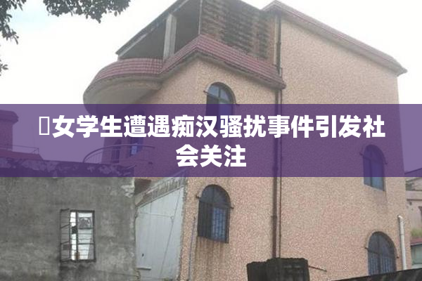 巜女学生遭遇痴汉骚扰事件引发社会关注