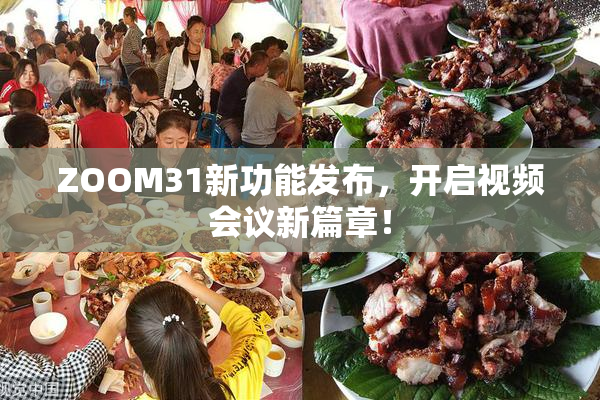 ZOOM31新功能发布，开启视频会议新篇章！