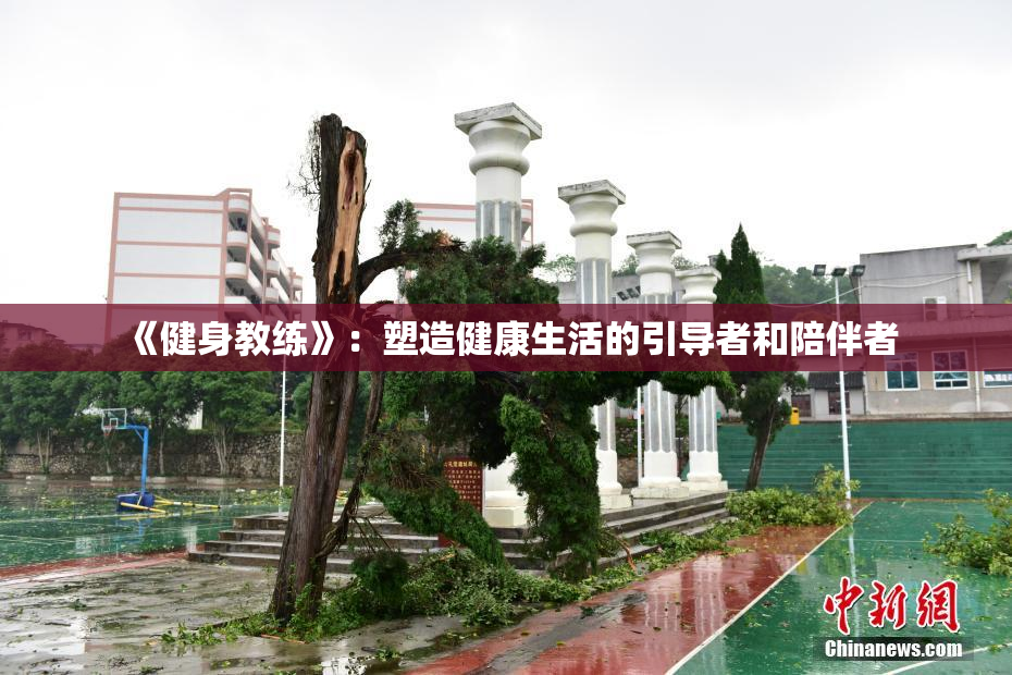 《健身教练》：塑造健康生活的引导者和陪伴者