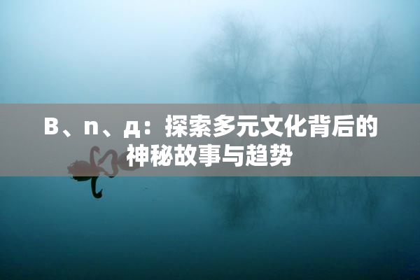 B、n、д：探索多元文化背后的神秘故事与趋势