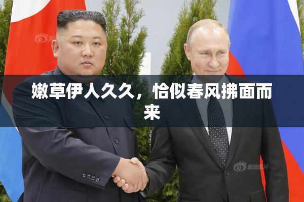 嫩草伊人久久，恰似春风拂面而来