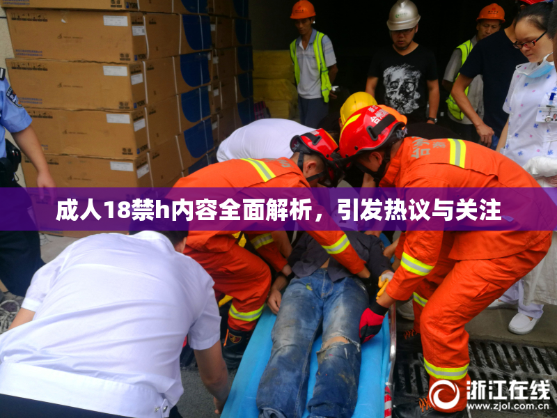 成人18禁h内容全面解析，引发热议与关注