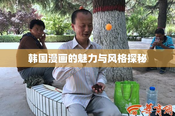 韩国漫画的魅力与风格探秘