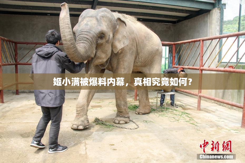 姬小满被爆料内幕，真相究竟如何？