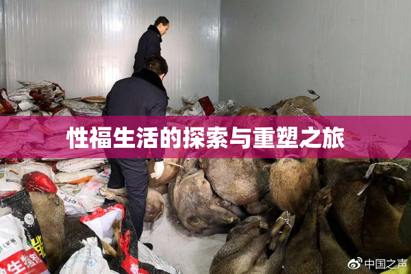 性福生活的探索与重塑之旅